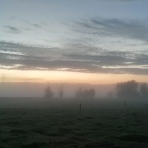 IMG_20210106_055100