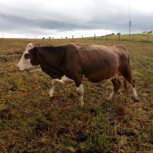 P_20181020_134807